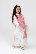 Kids White Dress with Embroidered Overlay