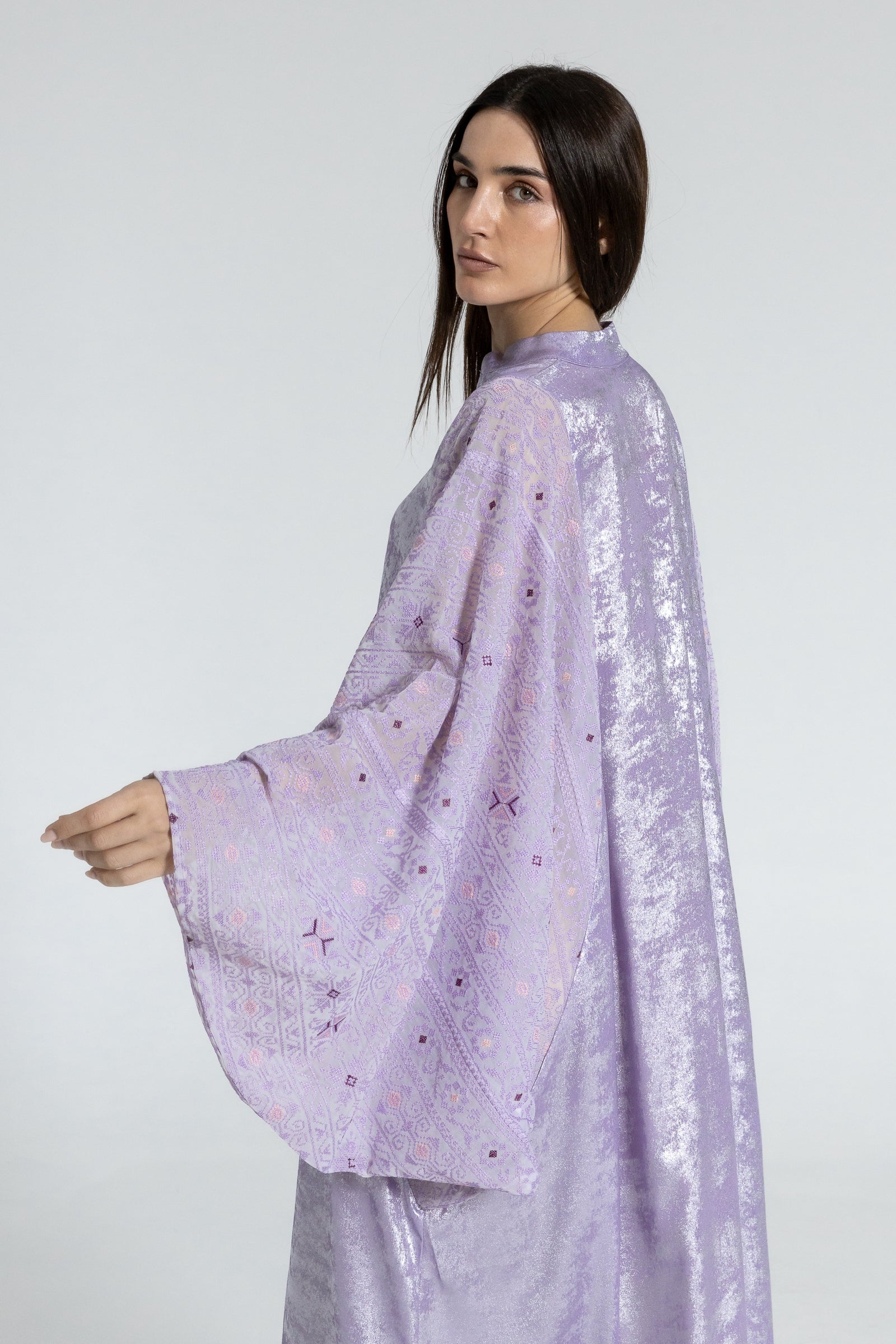 Shimmery Lilac Dress with Embellished Sleeves
