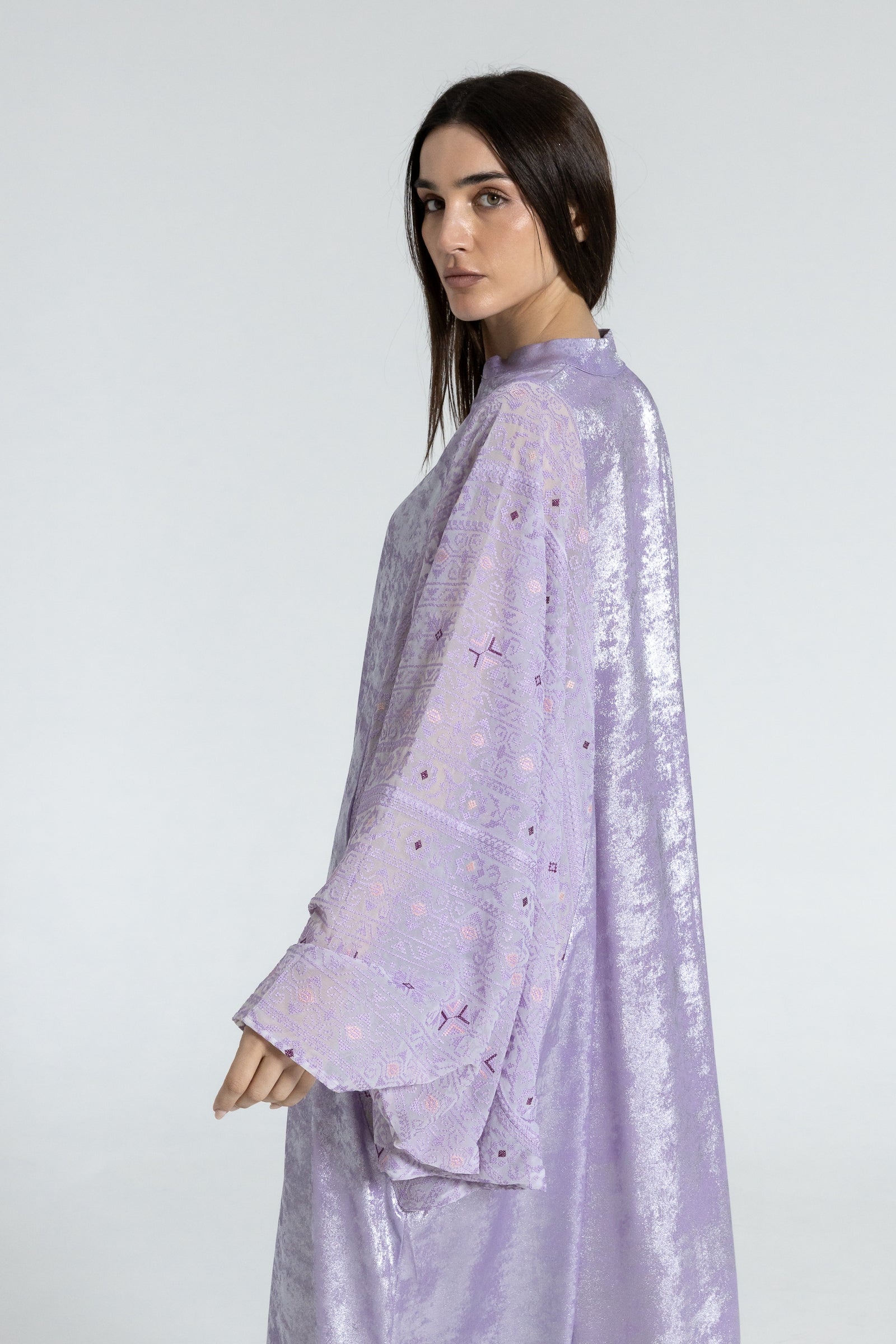 Shimmery Lilac Dress with Embellished Sleeves