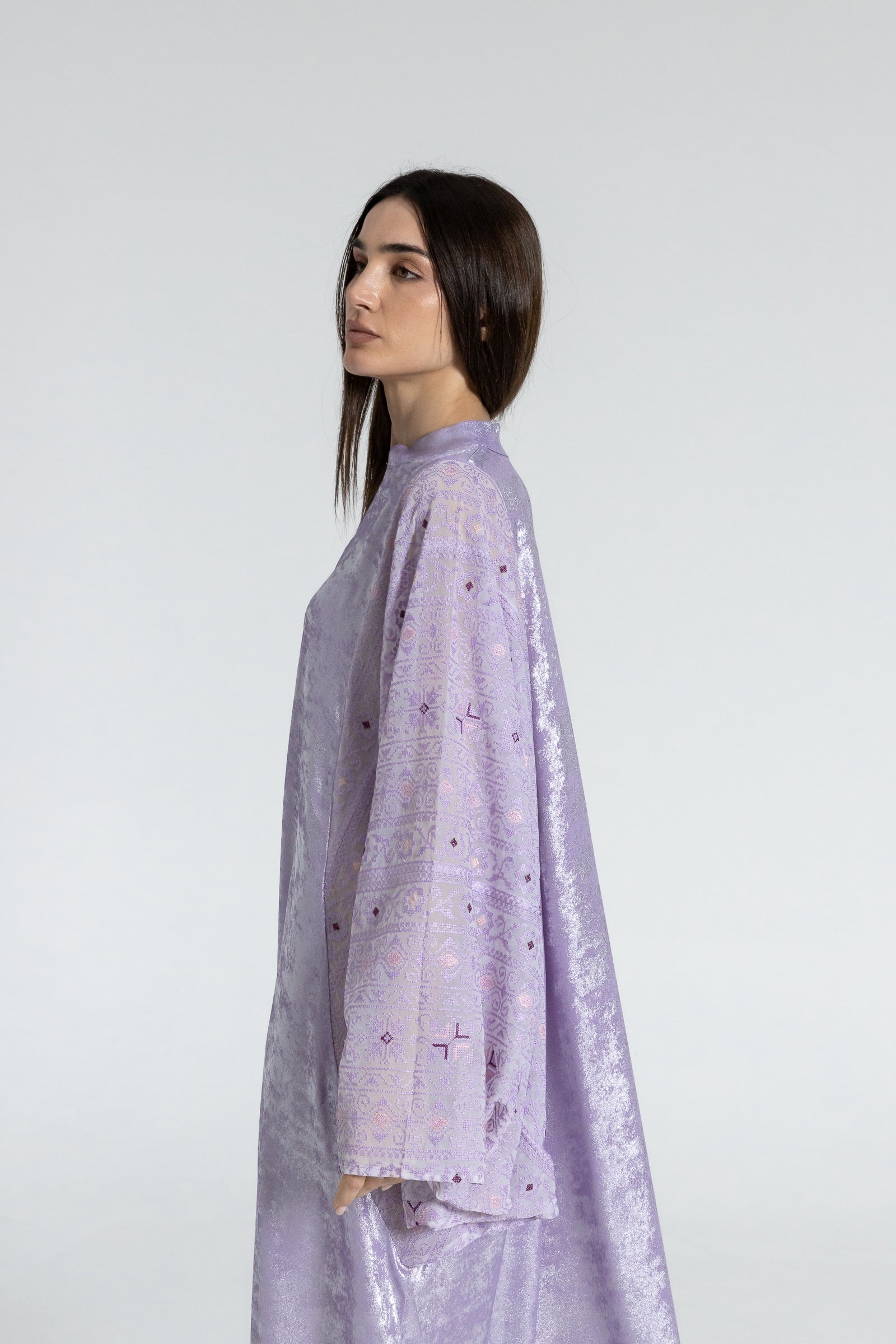 Shimmery Lilac Dress with Embellished Sleeves